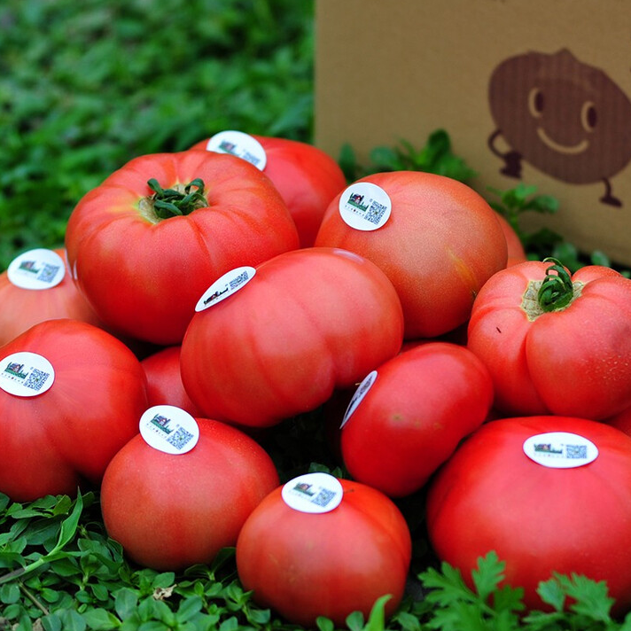 老味道番茄自然熟