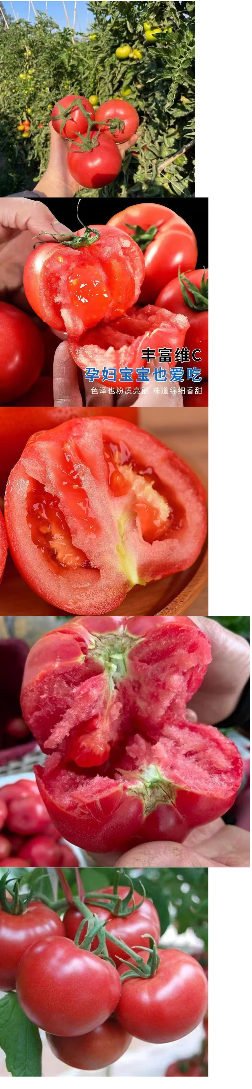 1756088587783872.png
