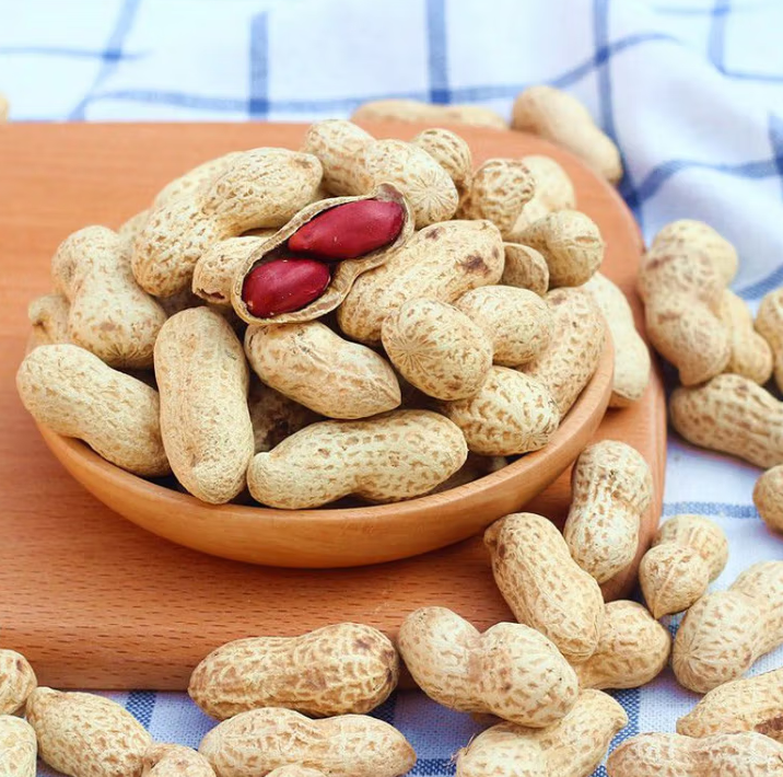 柴火炒花生熟花生农家柴火铁锅现炒脆花生炒货炒花生带壳原味花生 带壳炒花生1斤