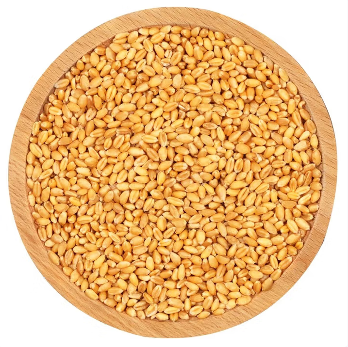 带皮小麦粒斤杂粮农家自产磨面做麦酱发麦苗小麦草种子麦 带皮小麦米1斤 500g1袋