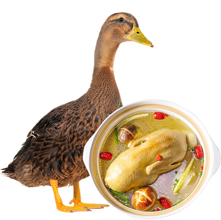 散养生态麻鸭2.5斤袋冷冻整鸭新鲜土鸭煲汤红烧食材